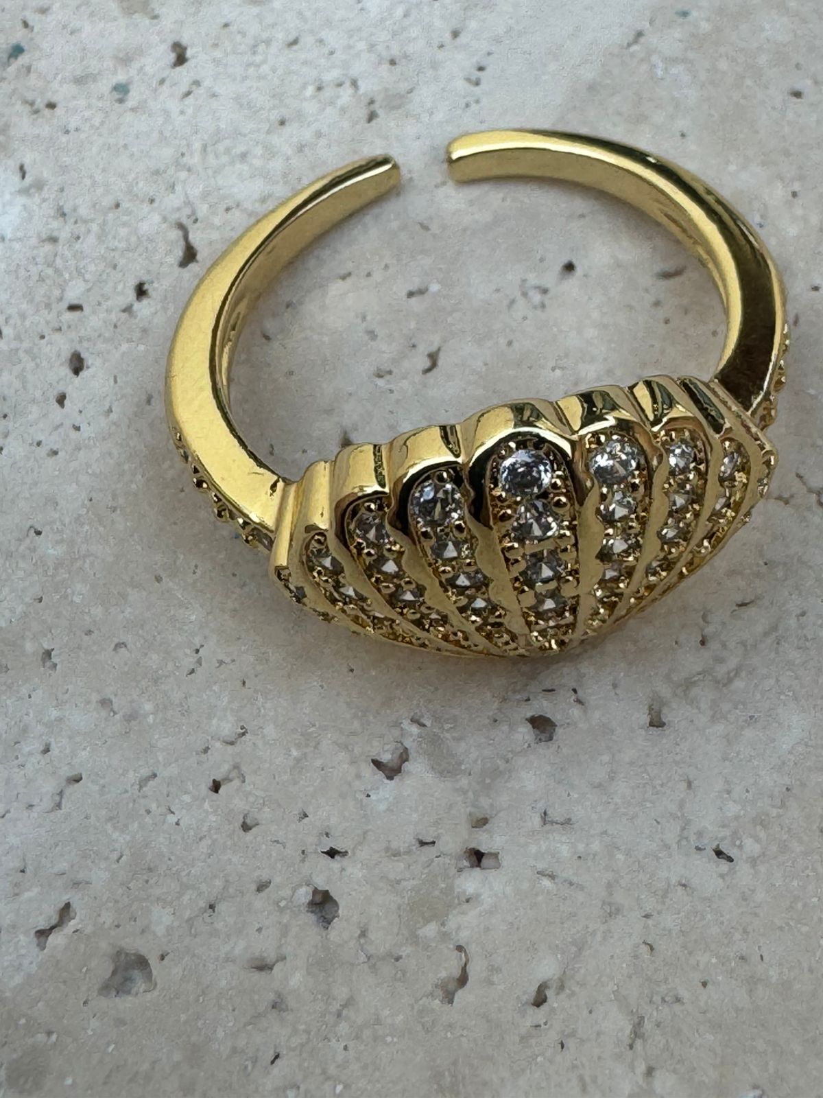Concha Brillante